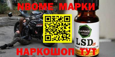 гашик Донской