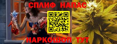 гашик Донской