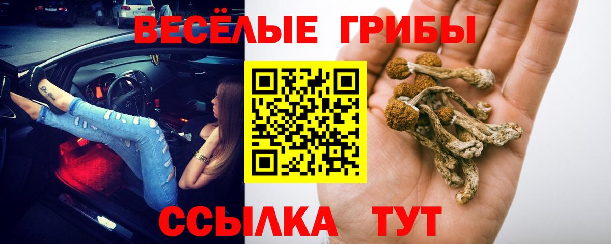 Галлюциногенные грибы MAGIC MUSHROOMS  Вход с VPN  Зеленогорск 