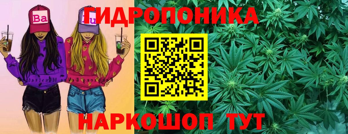 Шишки марихуана Ganja  Марихуана ГИДРОПОН  Зеленогорск  Вход с VPN 